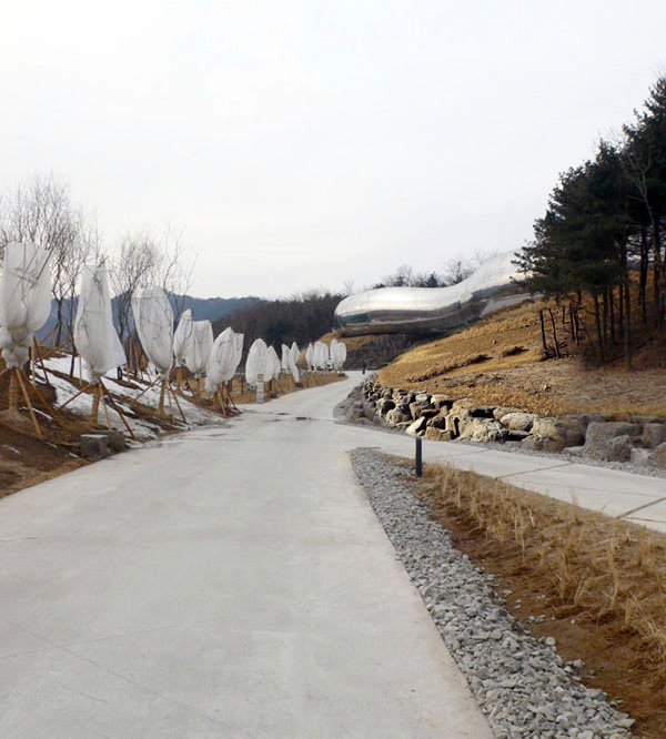 Museo de la Prehistoria X-TU Architects